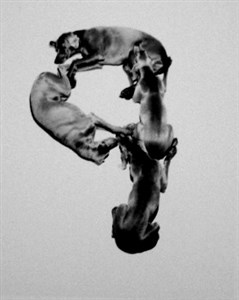 Image description is not available for 2001.038